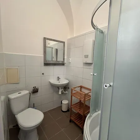 Rezidence Napoleon Apartment Loket Exterior photo
